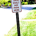 Thou Shalt Not Park Here by Seth Weaver Thou Shalt Not Park Here by Seth Weaver