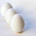 Three Eggs In a Row Photograph by Endre Balogh Three Eggs In a Row Photograph by Endre Balogh