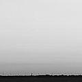 Three Trees Panorama in Black and White Photograph by James BO Insogna