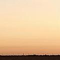 Three Trees Panorama Photograph by James BO Insogna Three Trees Panorama Photograph by James BO Insogna