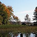 To See Autumn Colors Forever Photograph by Kim Galluzzo Wozniak To See Autumn Colors Forever Photograph by Kim Galluzzo Wozniak
