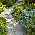 Tranquil garden 2 Photograph by Elena Elisseeva Tranquil garden 2 Photograph by Elena Elisseeva