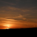 Twists And Turns At Sundown Photograph by Kim Galluzzo Wozniak Twists And Turns At Sundown Photograph by Kim Galluzzo Wozniak