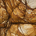 Volcanic Rock, Onawe, Banks Peninsula by Colin Monteath Volcanic Rock, Onawe, Banks Peninsula by Colin Monteath