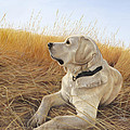 Waiting For The Birds Painting by Tammy Taylor Waiting For The Birds Painting by Tammy Taylor