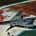 War Bird by Douglas Pittman War Bird by Douglas Pittman