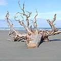 Washed Up by Michael Merry Washed Up by Michael Merry
