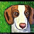 Wee Beagle by Rebecca Stephens Wee Beagle by Rebecca Stephens