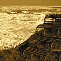 Wharf Traps by Eli Tynan