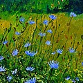 Wild Flowers 911 Painting by Pol Ledent Wild Flowers 911 Painting by Pol Ledent