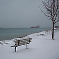 Winter Benches and Freighter by Bruce Ritchie