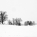 Winterscape by Bruce Ritchie