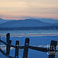 Wooden fence Photograph by Dejan Jovanovic Wooden fence Photograph by Dejan Jovanovic