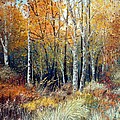 Woods Edge by Laura Tasheiko Woods Edge by Laura Tasheiko
