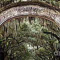 Wormsloe Gate Savannah Georgia Photograph by Dawna Moore Photography