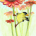 Yellow finch by Tatiana Fess