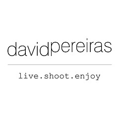 David Pereiras - Artist