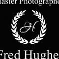 Fred Hughes - Artist