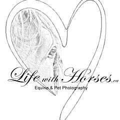 Life With Horses - Artist