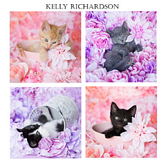 Kelly Richardson - Artist