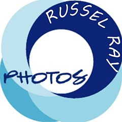 Photographic Art by Russel Ray Photos - Artist