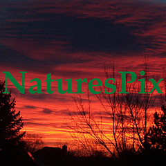 NaturesPix 