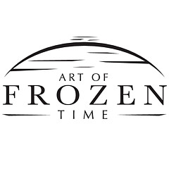 Art Of Frozen Time  - Artist