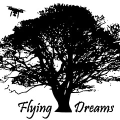 Flying Dreams - Artist