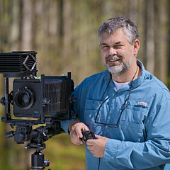 Patrick Lynch
