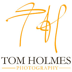 Tom Holmes - Artist