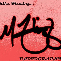 Mike Fleming - Artist