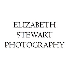 Elizabeth Stewart - Artist