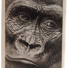 David Smith - Artist