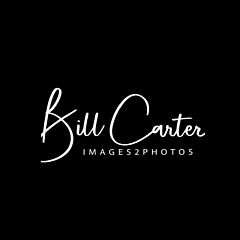 Bill Carter - Artist