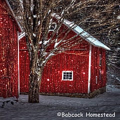 Christopher Jones - Artist