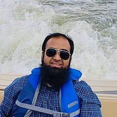 Syed Hussain - Artist