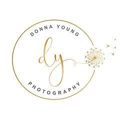Donna Young - Artist