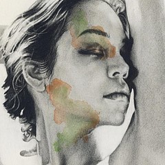 Steve Cook - Artist