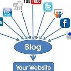 AAABrains US AAABrains SEO - Artist