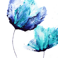 Aaron Haser - Artist