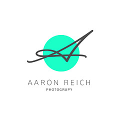 Aaron Reich - Artist