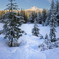 Northwest Photoz - Artist