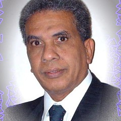 Abdulkadir Shekis - Artist