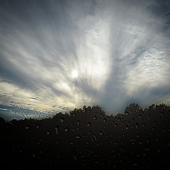 Abigail Baugh - Artist