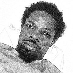 Abiodun Ogunfowodu - Artist