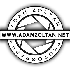 Adam Zoltan - Artist