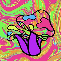 Effervescent Art Shop - Artist