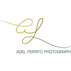 Adel Ferrito - Artist