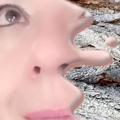 Adela Zamudio - Artist