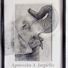 AgnieszkaA Jargiello - Artist